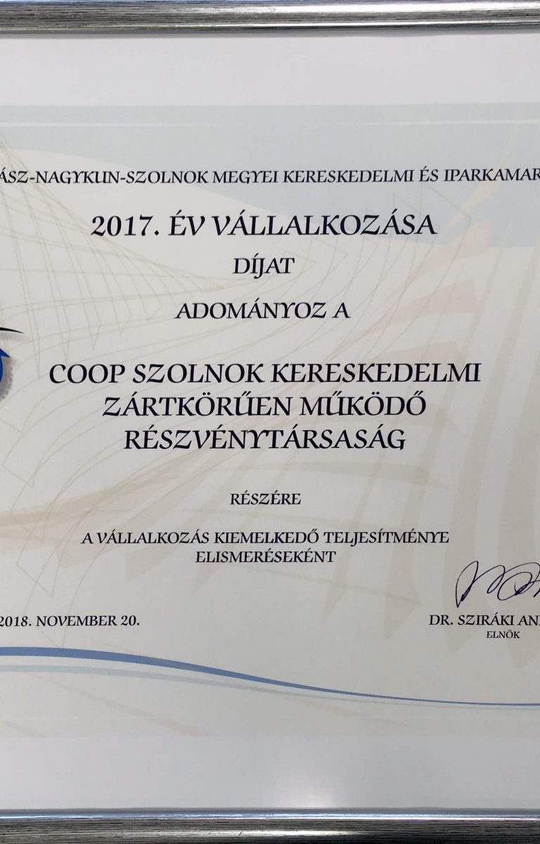 2017. év vállalkozása